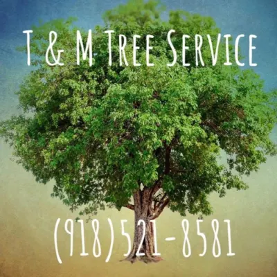 T & M Tree Service
