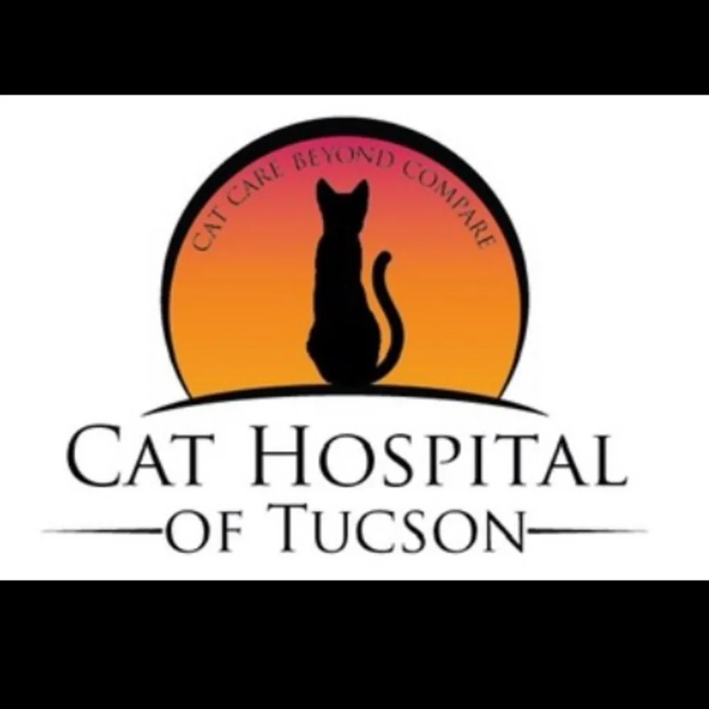 Cat Hospital Of Tucson