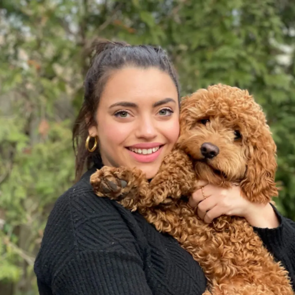 Sophia's Tutoring