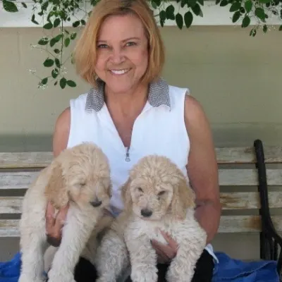Brooksville Acres Pet Resort
