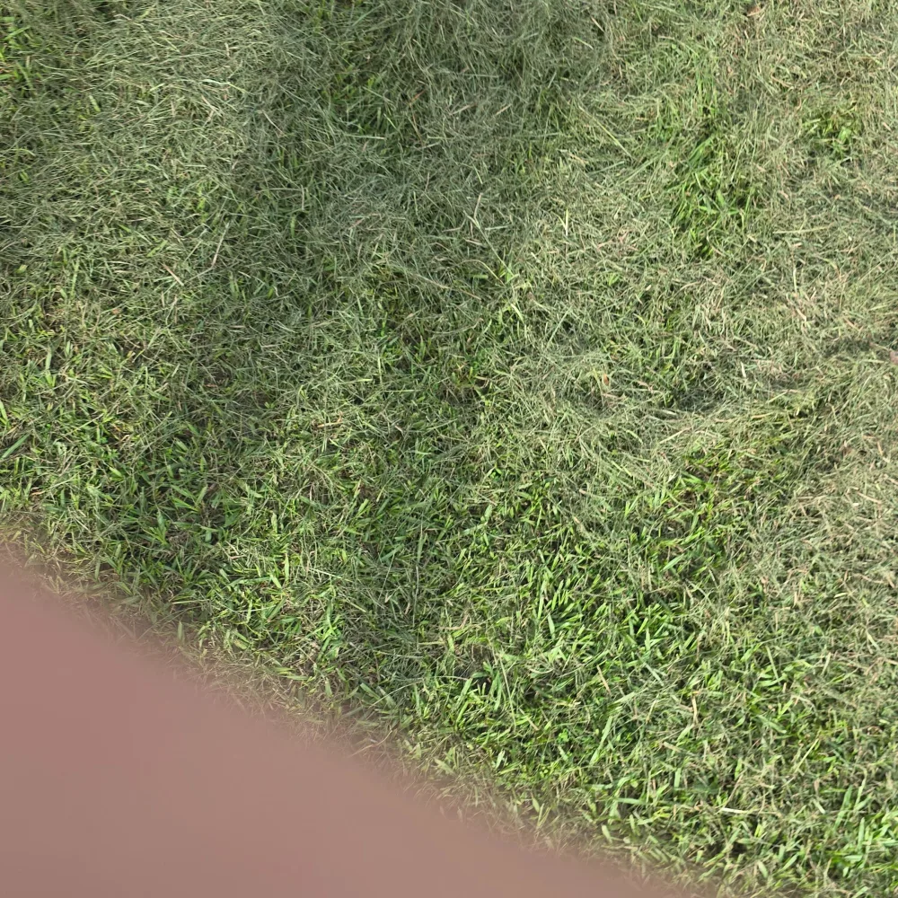 C And R Lawn Service