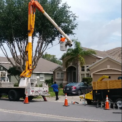 Matt's Pro Arbor Care, Inc.