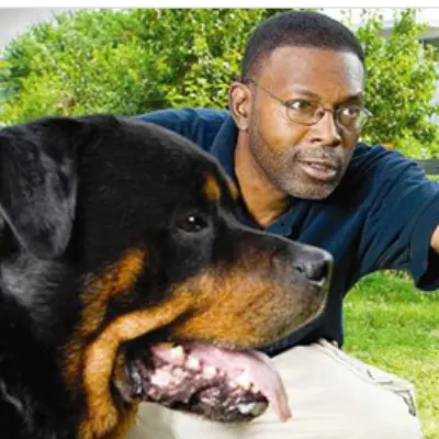 Iteach Dogs