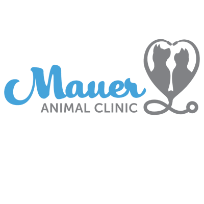 Mauer Animal Clinic