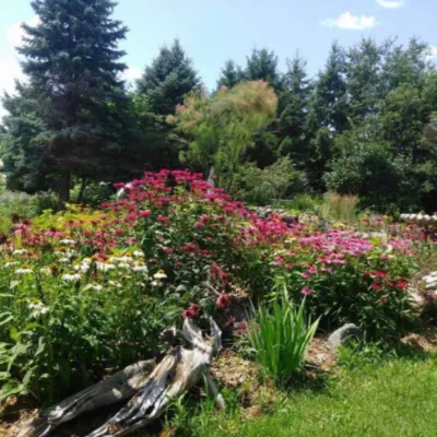 Infinity Gardens