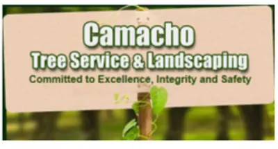 Camacho Tree Service & Landscaping