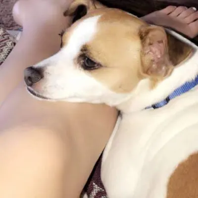 Backyard Friends Dog Care