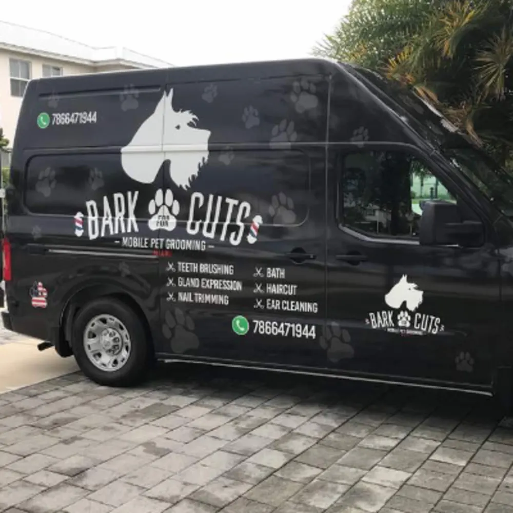 Bark For Cuts