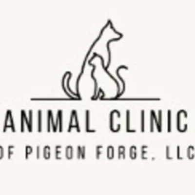 Animal Clinic Of Pigeon Forge, LLC