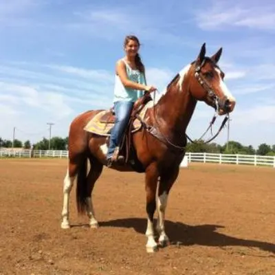 Beginner Horseback Riding Lessons