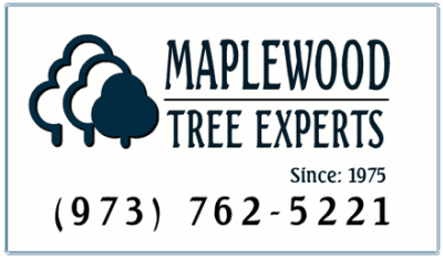 Maplewood Tree Experts