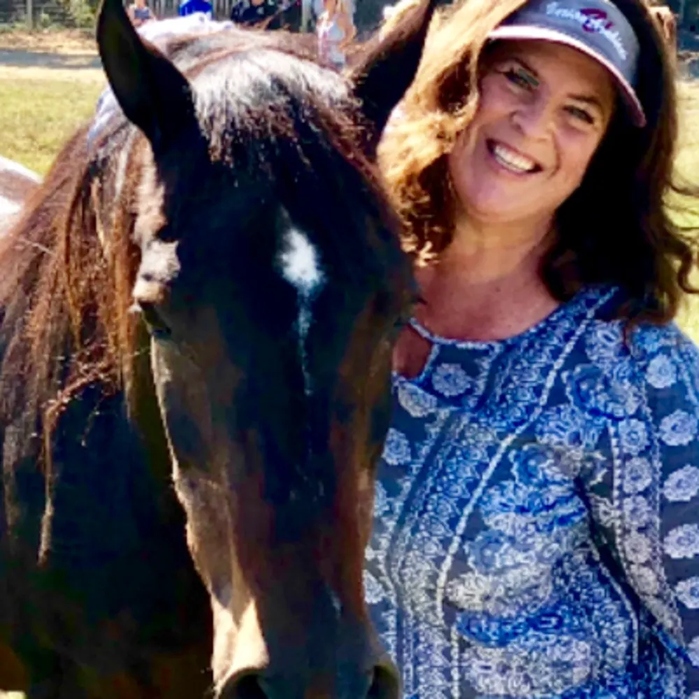 Santa Ynez Valley Horses