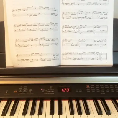 Piano Performance And Music Theory Lessons- Aiesh