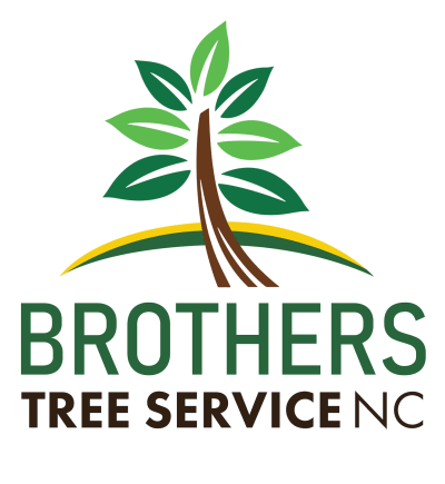 Brothers Tree Service