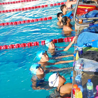 D's Swim Lessons