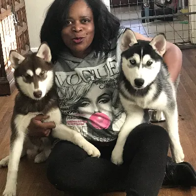 Four Legged Family