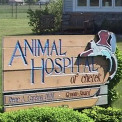 Animal Hospital Of Chetek