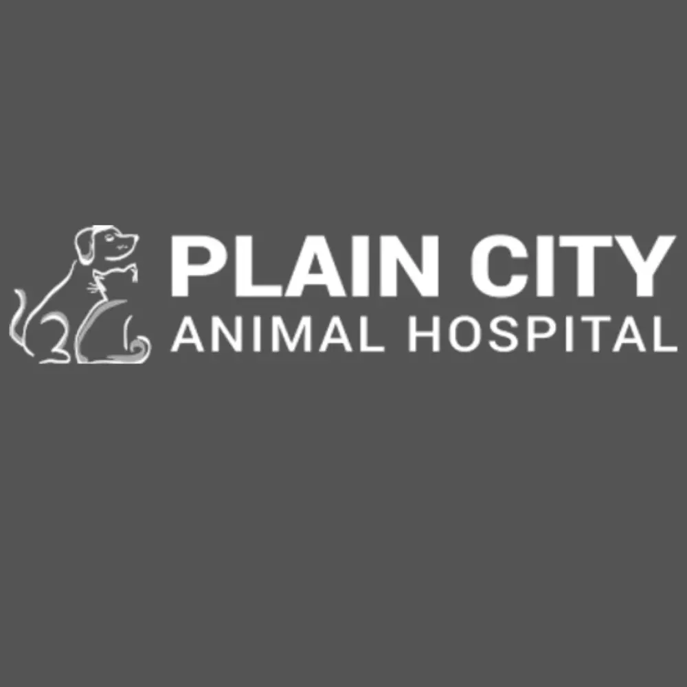 Plain City Animal Hospital