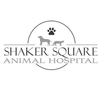 Shaker Square Animal Hospital