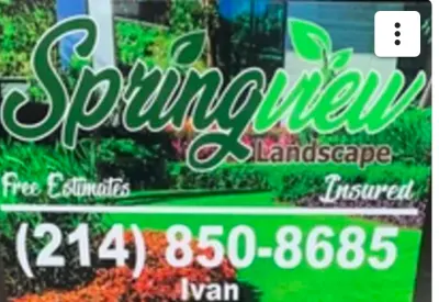 Springview Landscape