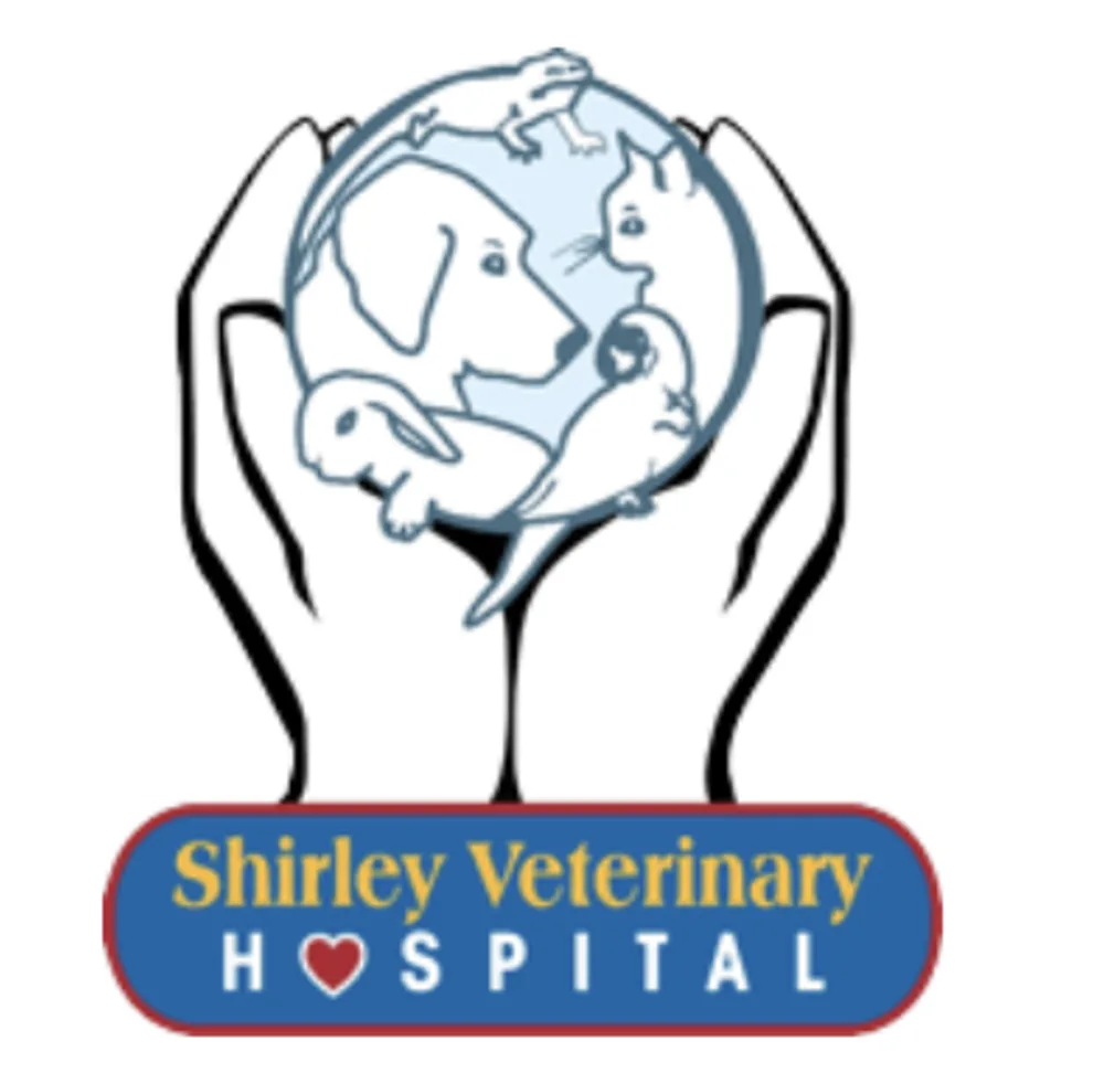 Shirley Veterinary Hospital