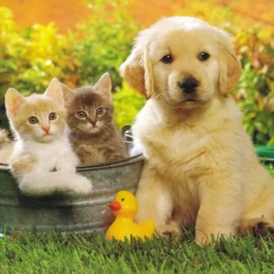 Princeton Grooming & Spa