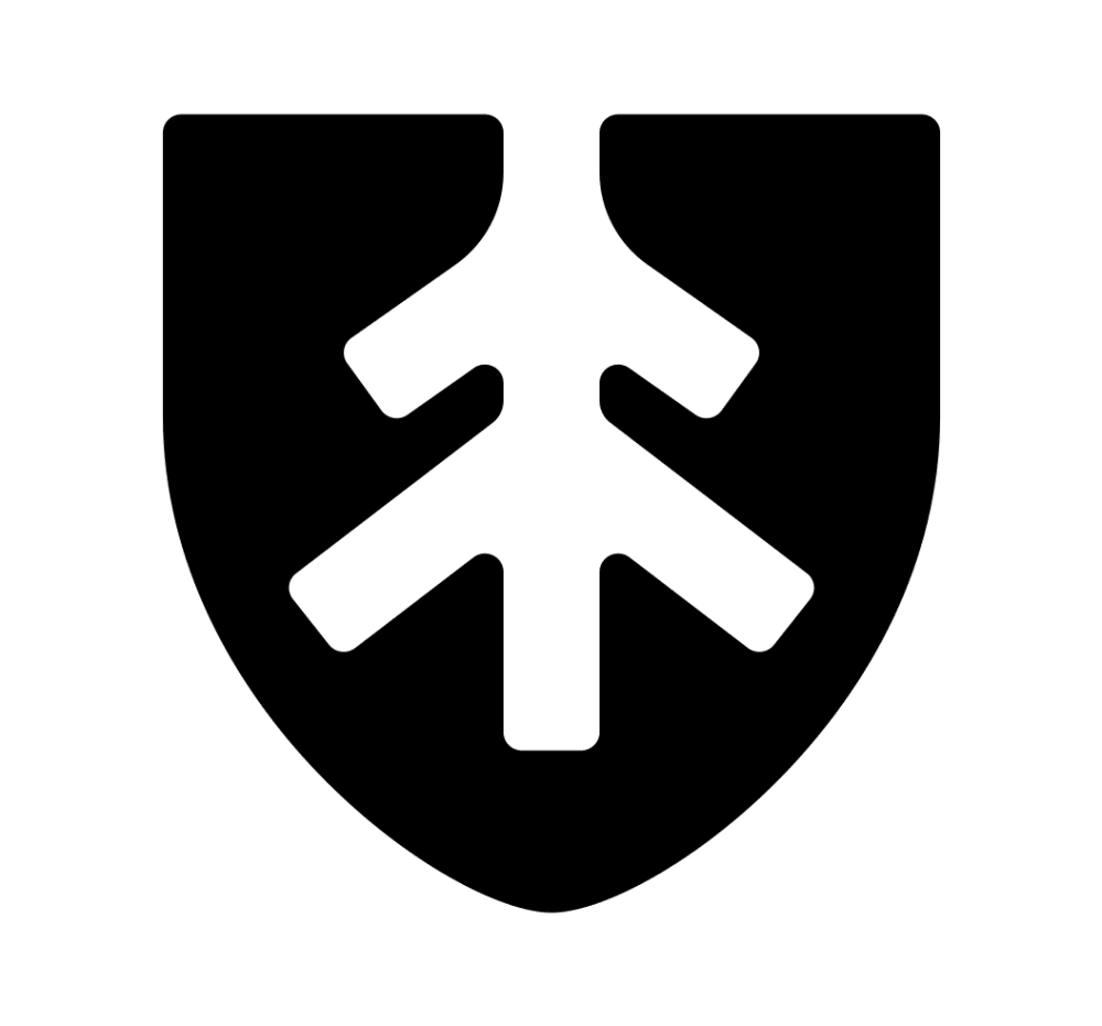 Team Passos Jiu Jitsu