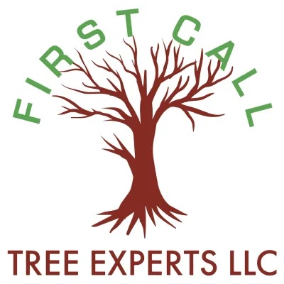 First Call Tree Experts