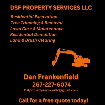 DSF Property Services LLC