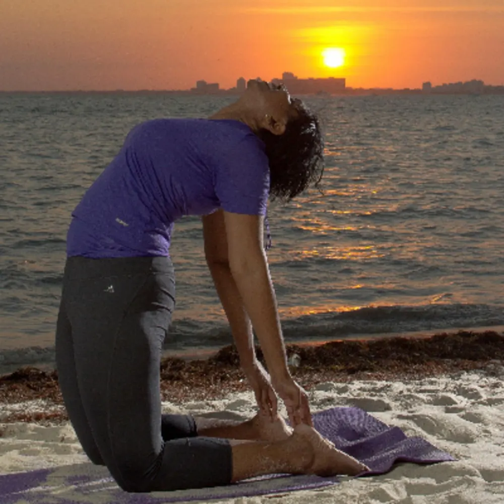 Pines Iyengar Yoga