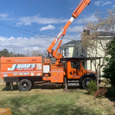 J-Bird's Tree Service