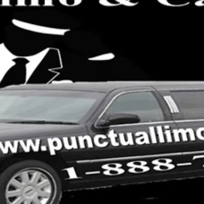 Punctual Limo Servcies