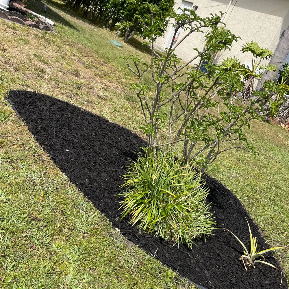 Bless Lawn Care LLC