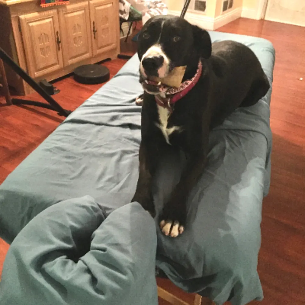 Soothing Harmony Mobile Massage