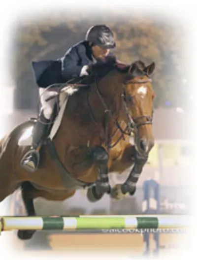 Equestrian Connect