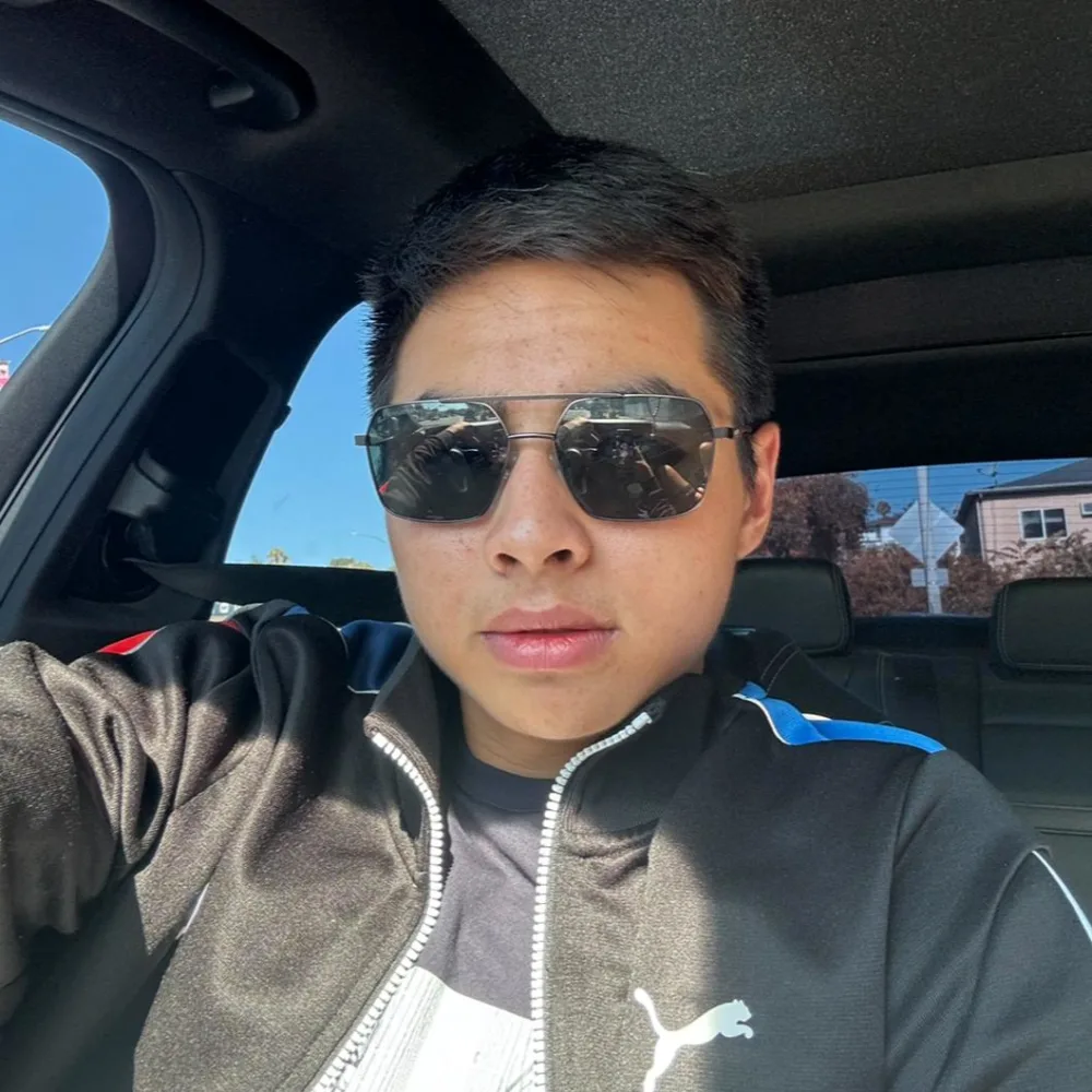 Damir