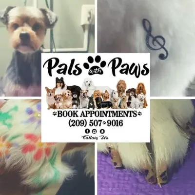 Pals With Paws Grooming