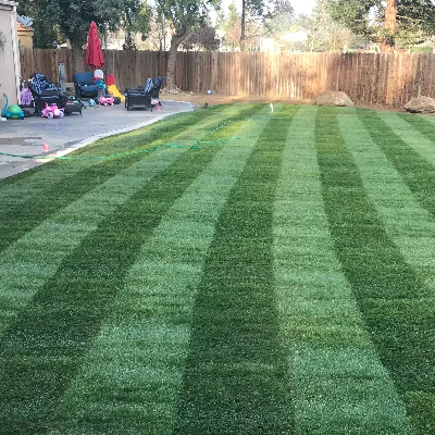 Sprinkler 911 & Landscape
