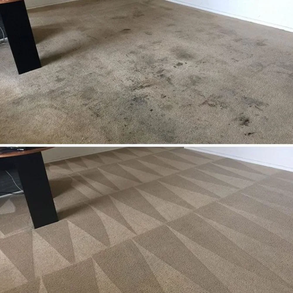 Organic Carpet & Upholstery Cleaning