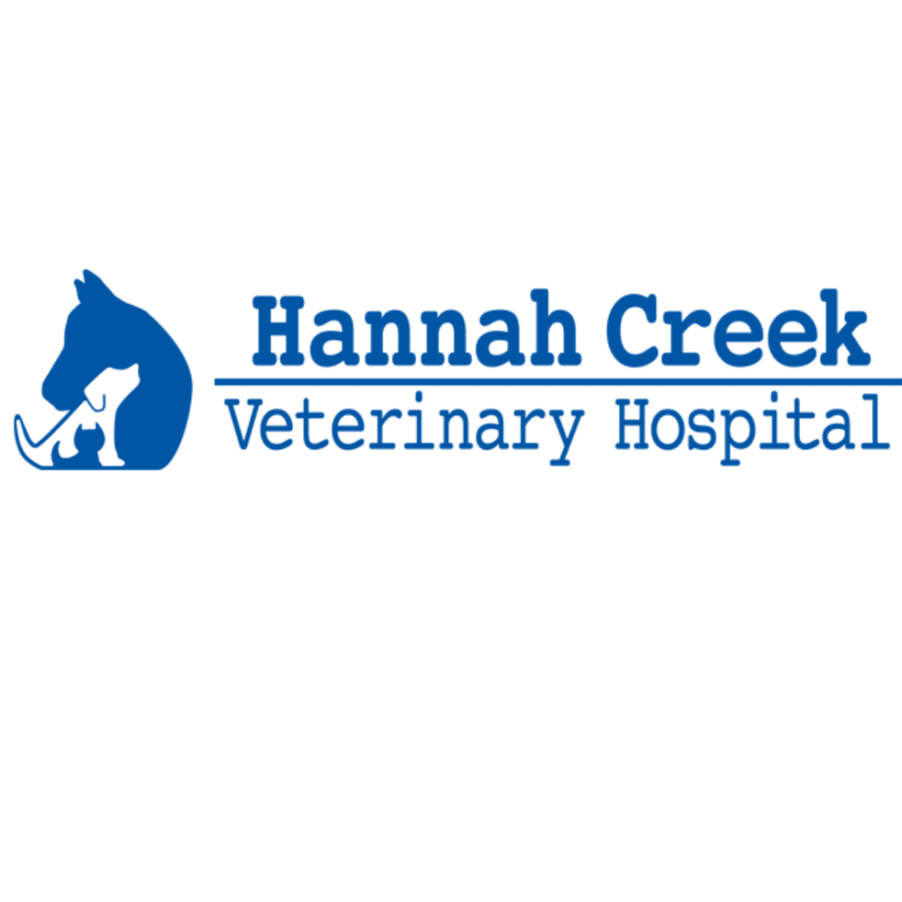 Hannah Creek Veterinary Hospital