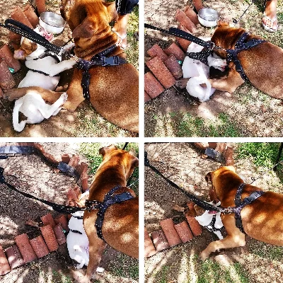 The Everyday Life Of Tessa && Billie