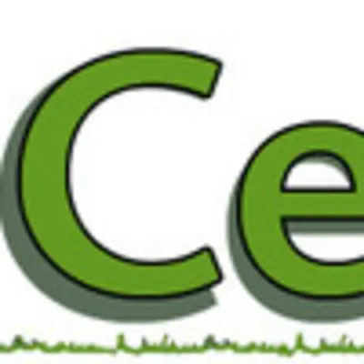 Ceso Landscape & Construction