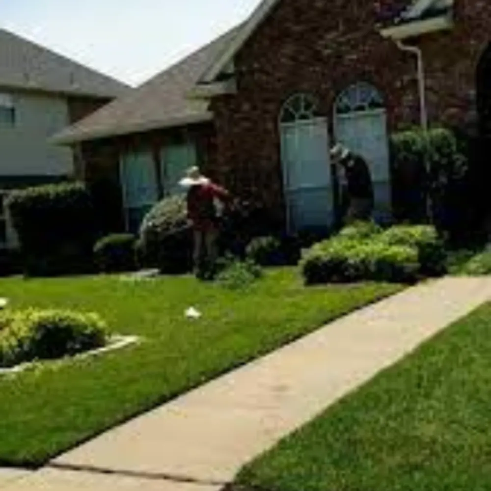 Dfw Greenscape Lawn Care
