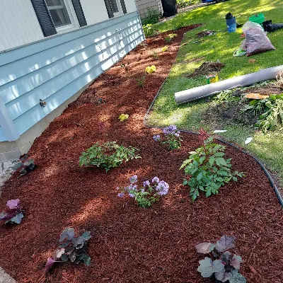 Plant Flowers And Trees Grass Leaves In Winter Leave Clean Patios Fences Mohs