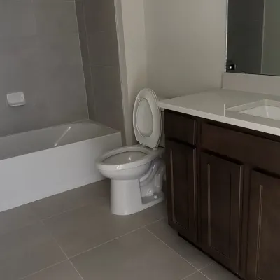Cleaning Lady