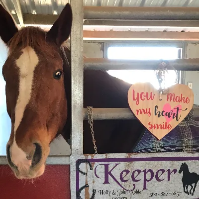4 The Love Of Horses