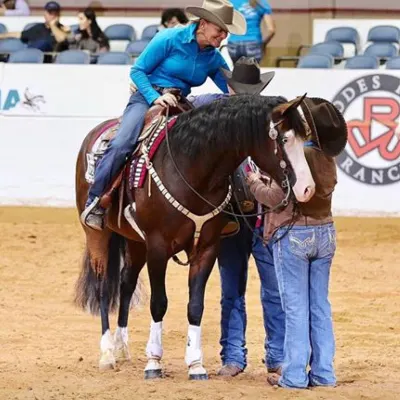 Tanya Jenkins Performance Horses