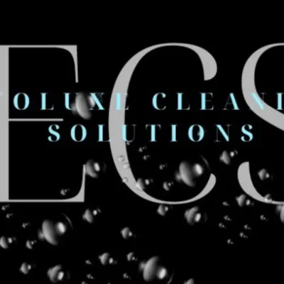 EvoLuxe Cleaning Solutions