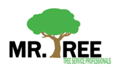 Mr. Tree