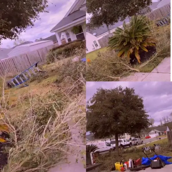 prepare your trees for winter